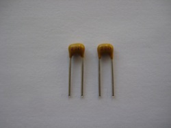 (2) 22pF capacitors