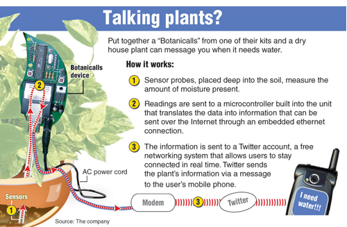 botanicalls_winstom_salem_schema_small